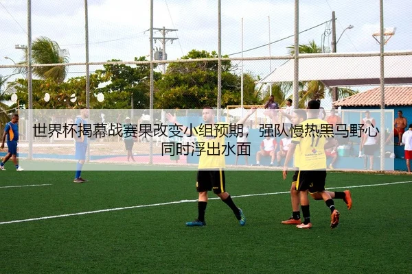 世界杯揭幕战赛果改变小组预期，强队慢热黑马野心同时浮出水面